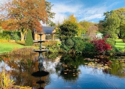 Autumn Winter Homepage