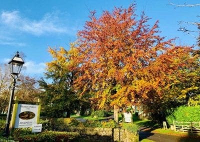 Autumn Winter Homepage Slider 6