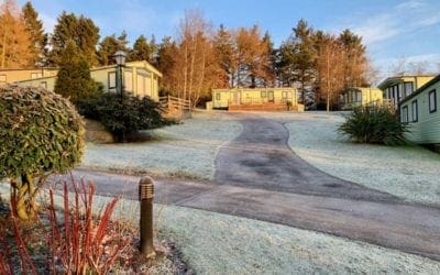 Cold Frosty Mornings