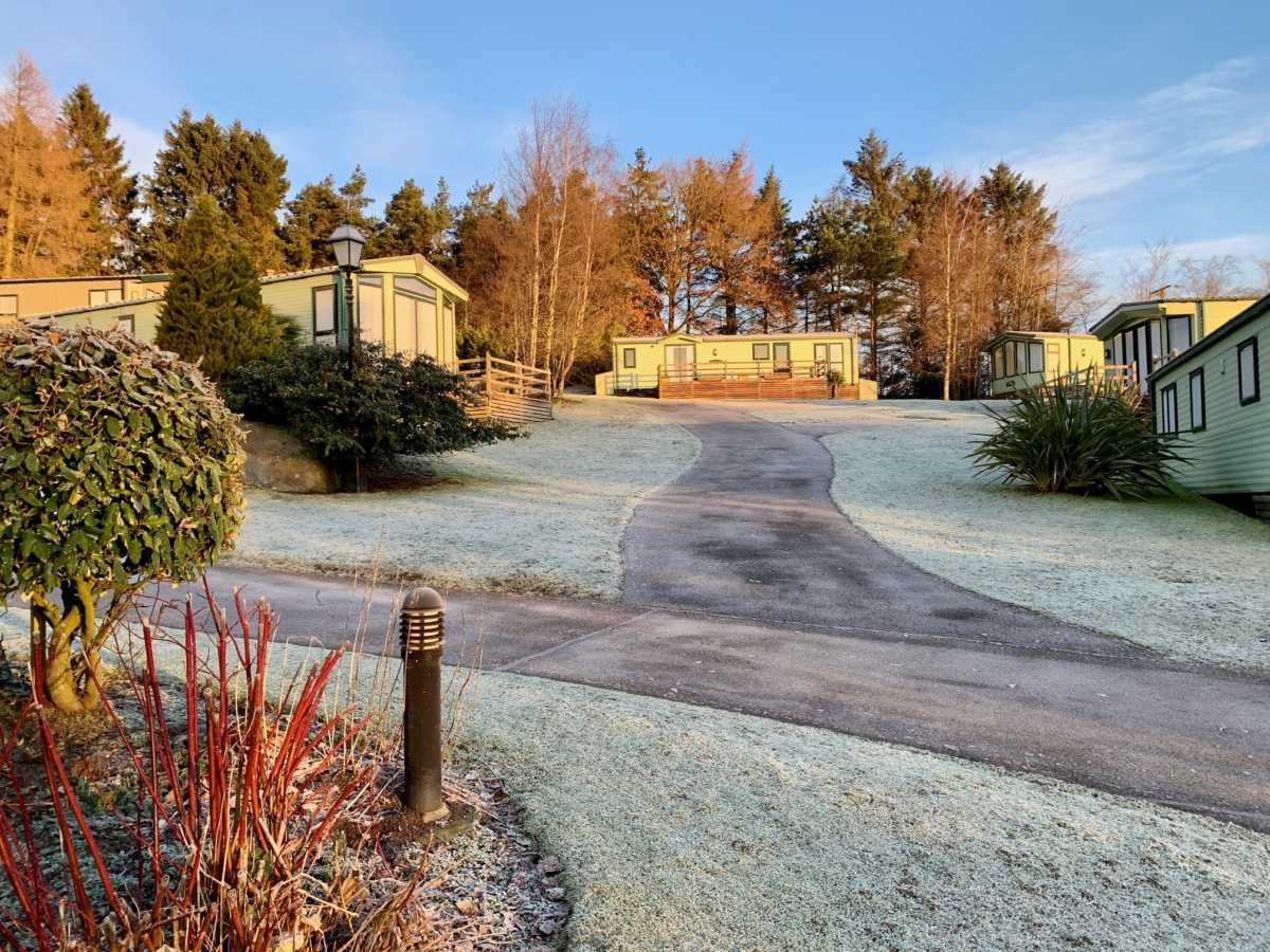Frosty Outside Covered in Ice