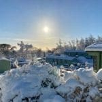 beautiful morning sun