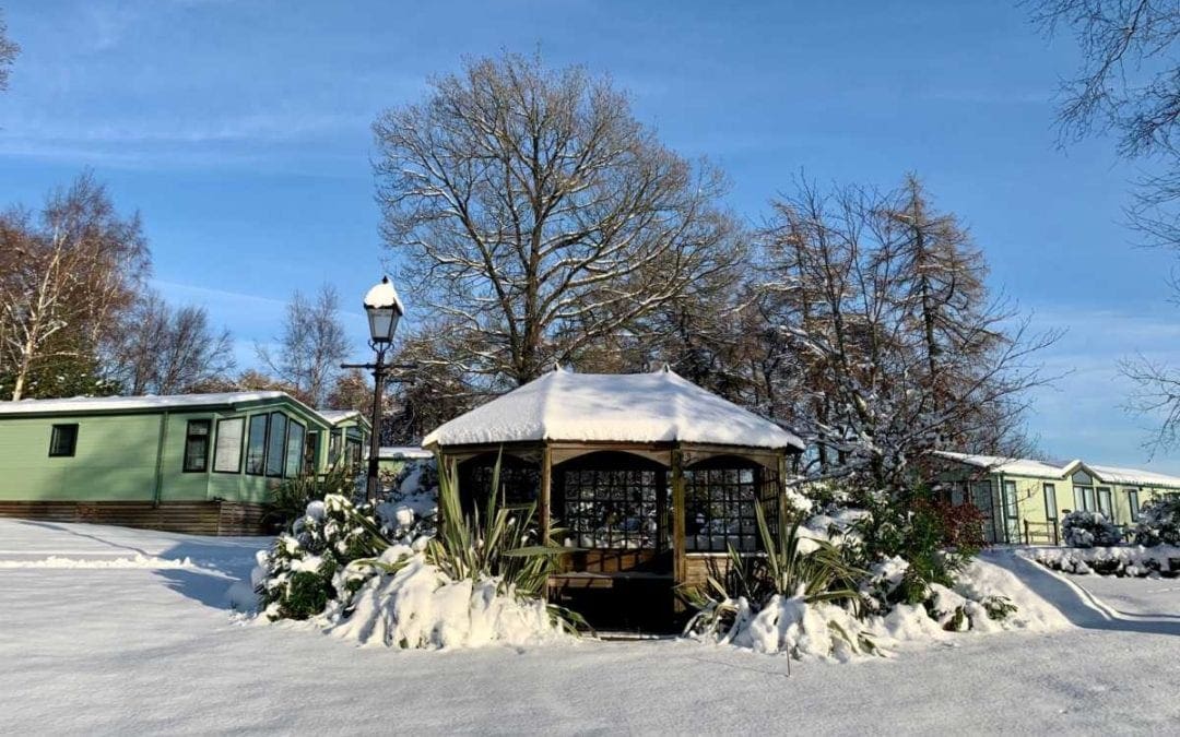 A Snowy Start to 2021