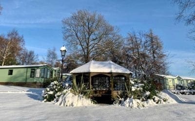 A Snowy Start to 2021