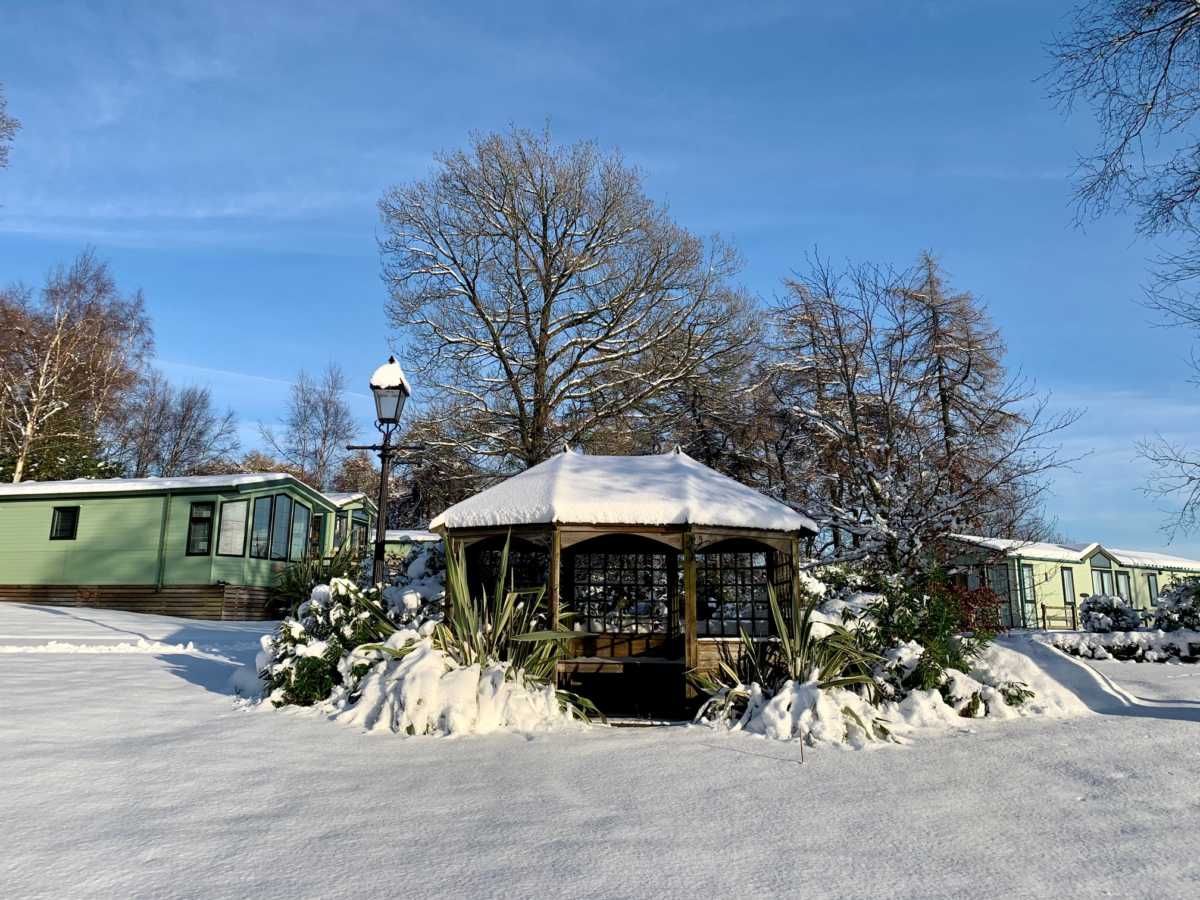 Snow at the Park
