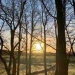 sunrise Jeffrey Wood