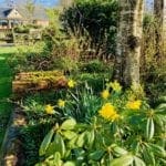Warren Forest Flower Garden