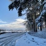 April Snow at the Park