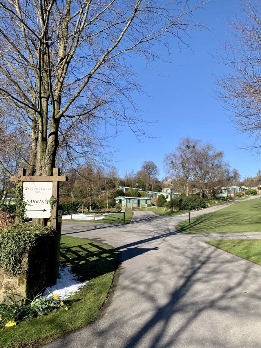 Tree with a Parking Sign