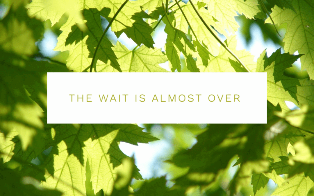 Looking Forward to Welcoming you Back