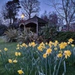 Warren Forest Flower i the night