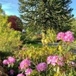 Sunshine and Relaxation