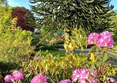 Sunshine and Relaxation