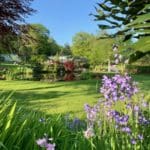 Sunshine and Relaxation