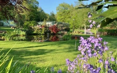 Sunshine and Relaxation