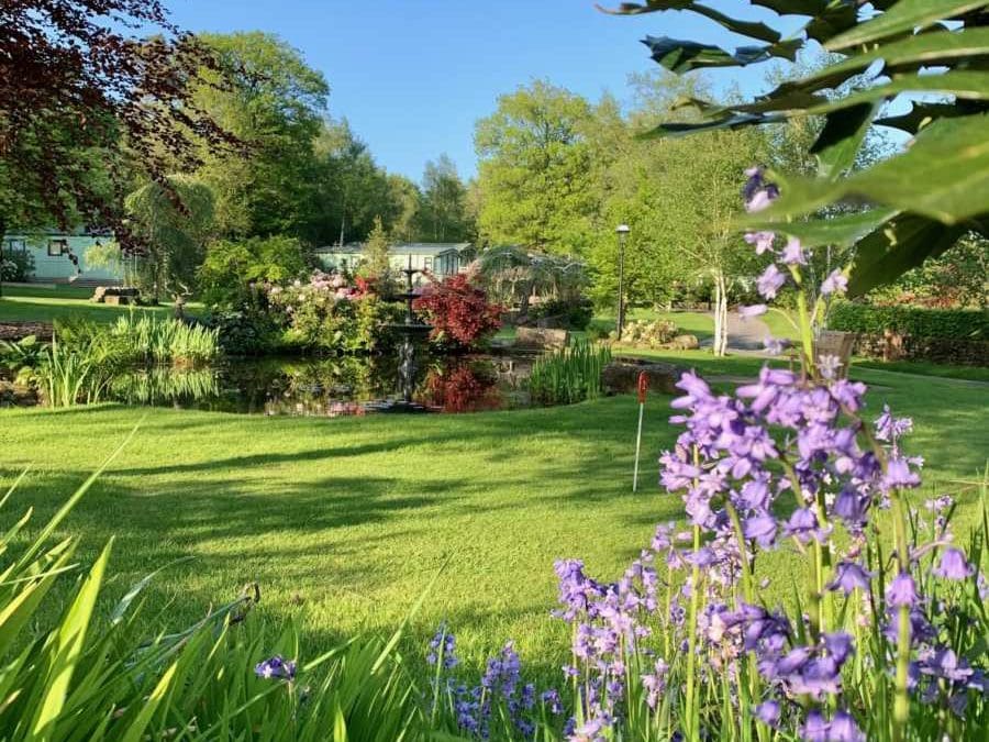 Sunshine and Relaxation