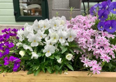 pretty in pink & purple