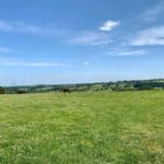 Grantley Village Views