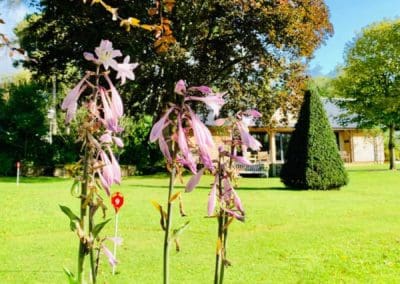 Warren Forest Park Shot with flowers
