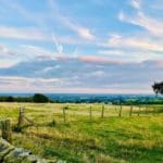 Forest Park Sunset View