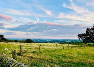 Forest Park Sunset View