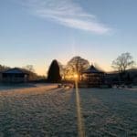 Snowdrops & Sunshine