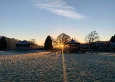 Snowdrops & Sunshine