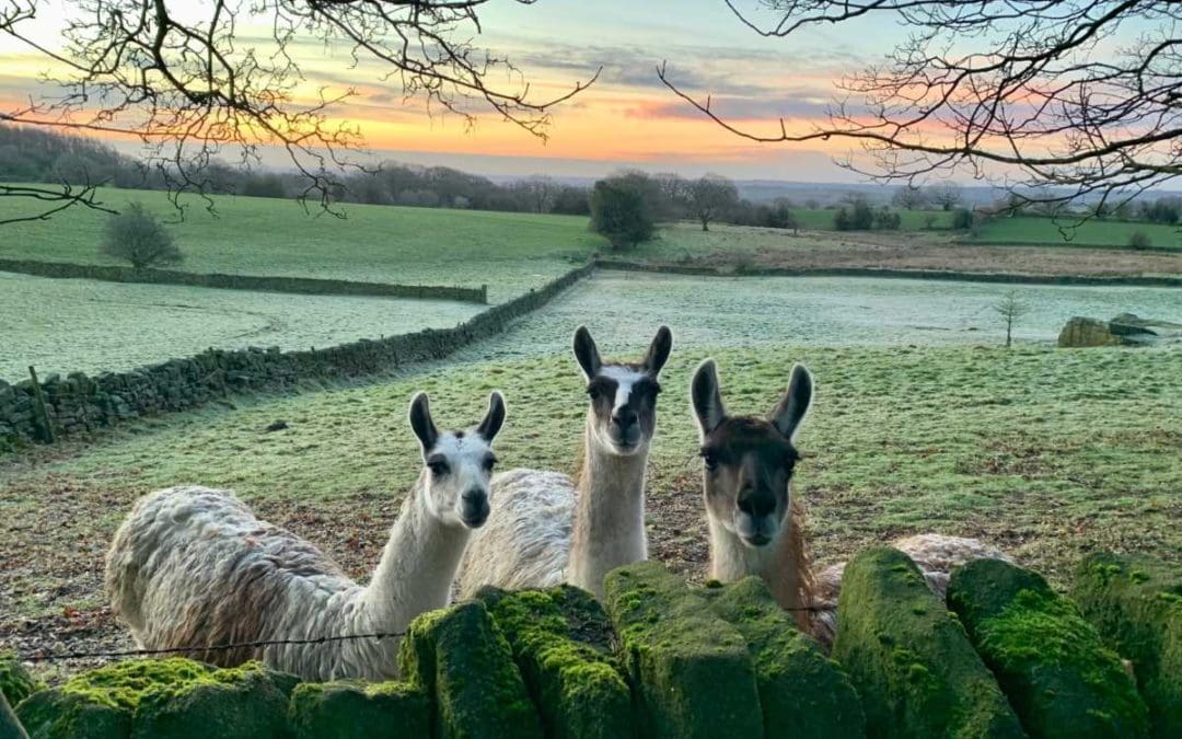 March into a new Season