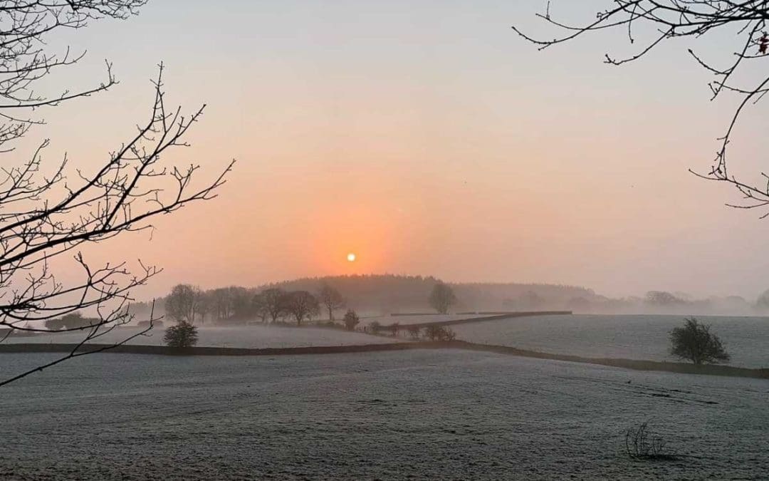 Photographs During the Lockdown Period