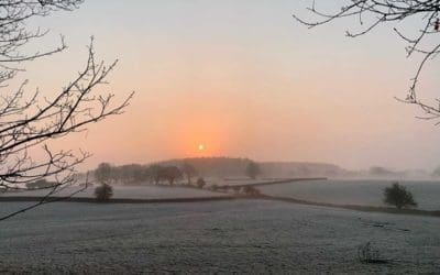 Photographs During the Lockdown Period
