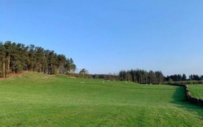 A Blooming Bank Holiday