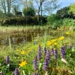 Warren Forest Park Swamp