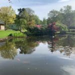 Warren Forest Park Koi Pond