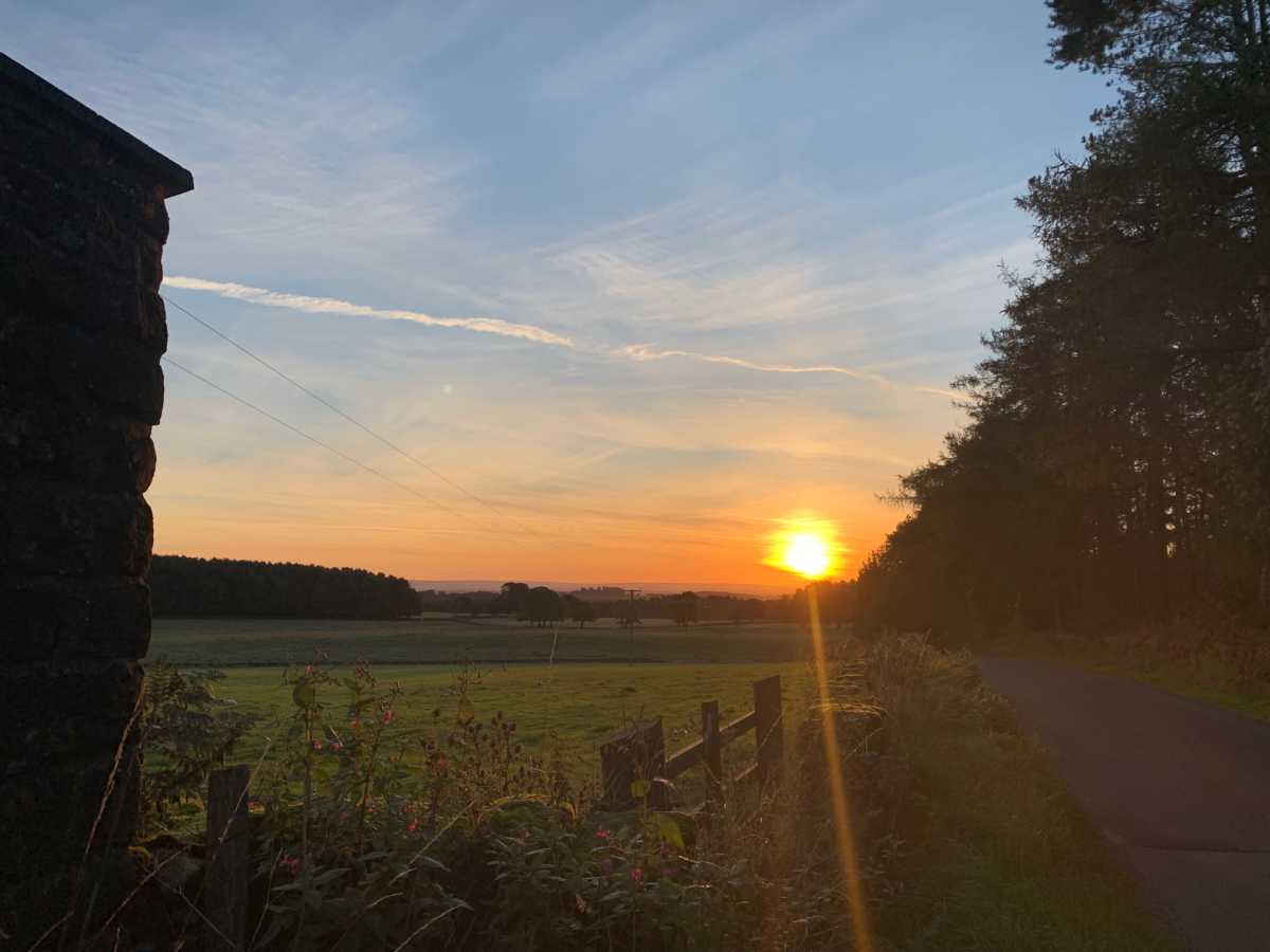 sunset