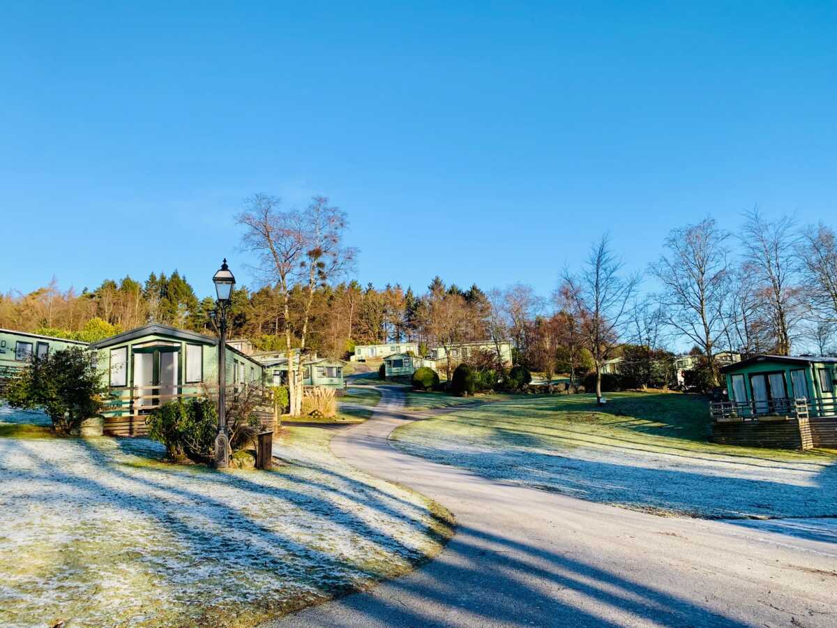 Cold & Frosty