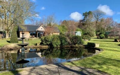 Sunshine, Snowdrops & Snow