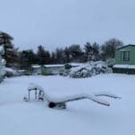 Snow 12