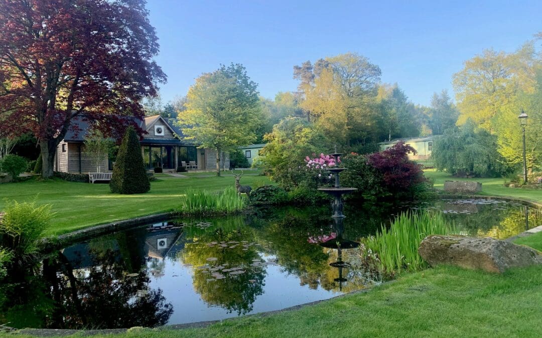 Beautiful May Blooms