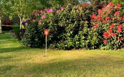 Bank Holiday Putting