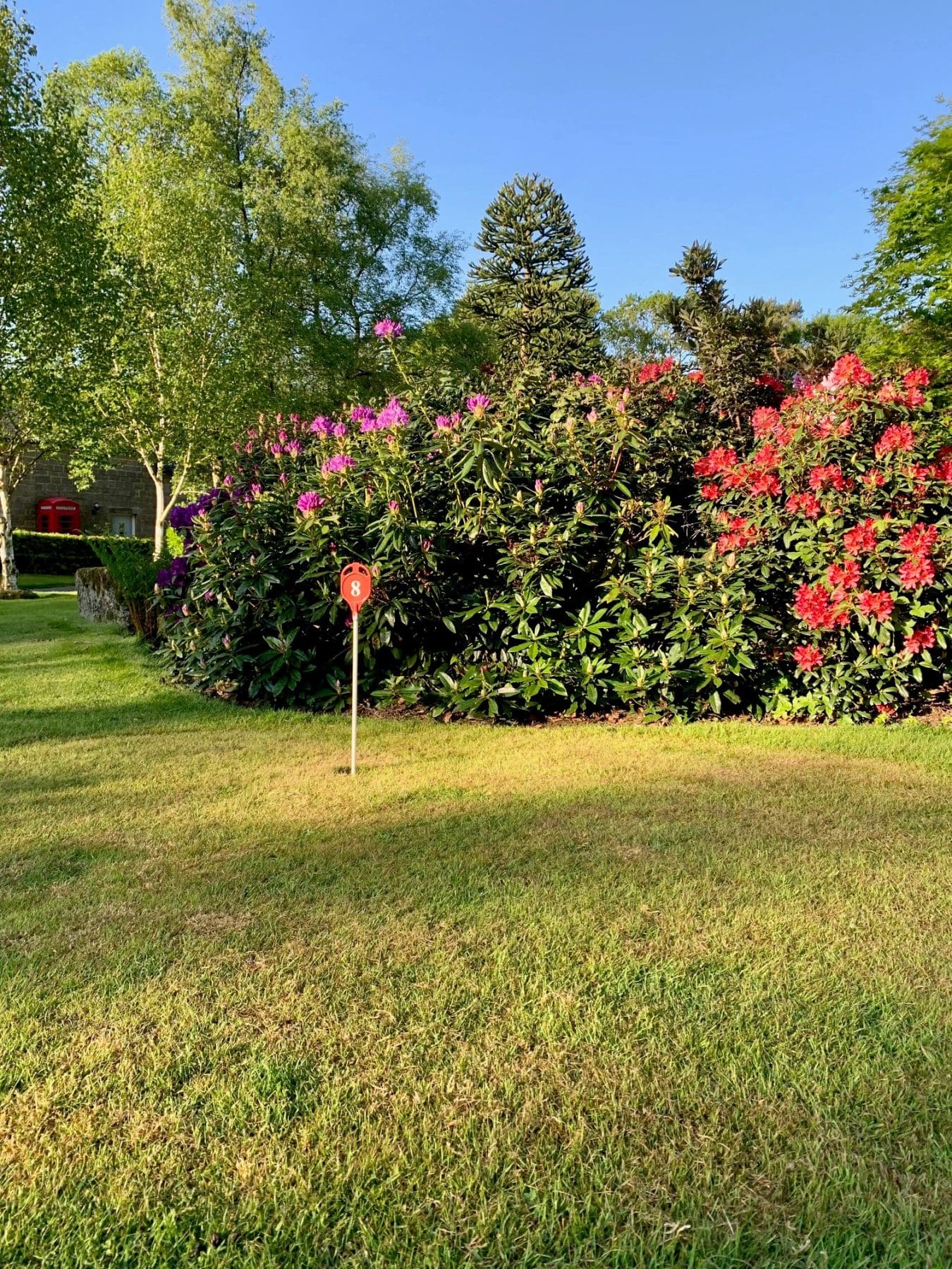 Bank Holiday Putting