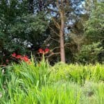 Atlas Debonair The Beeches House for Sale