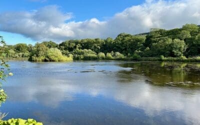 Exploring the Local Area