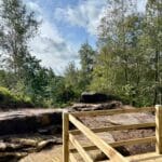 Willerby Manor 14 The Woodlands Caravans For Sale