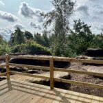 Willerby Manor 14 The Woodlands Caravans For Sale