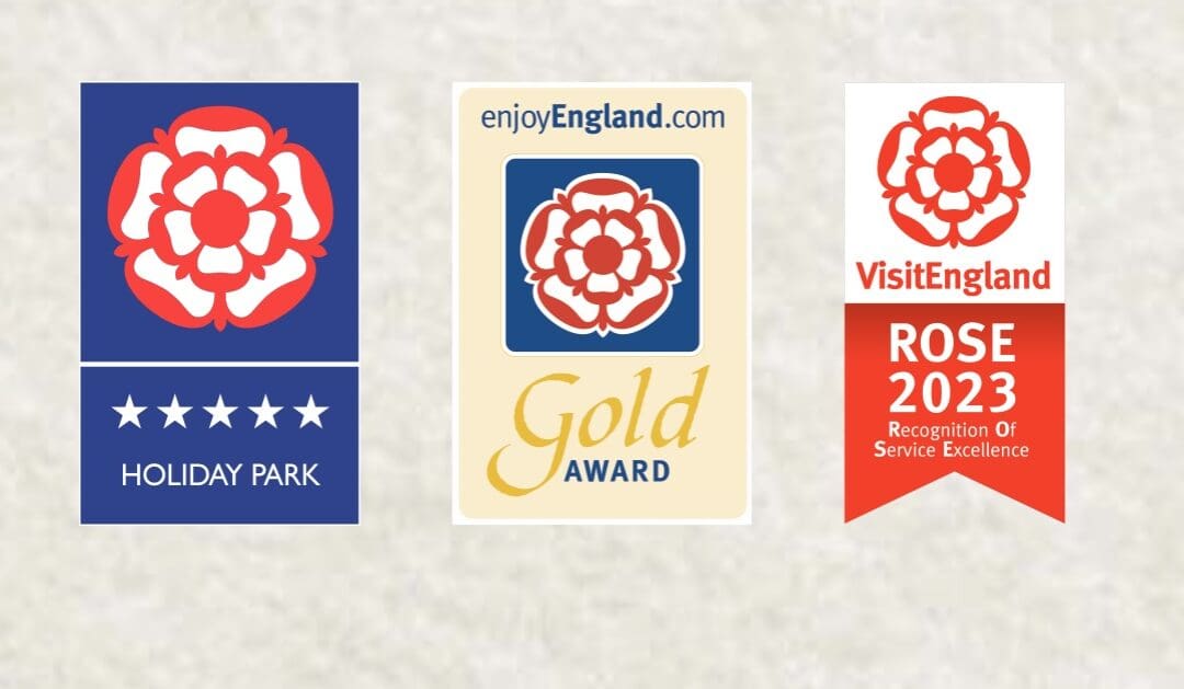 An Award Winning Month