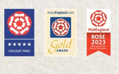 An Award Winning Month