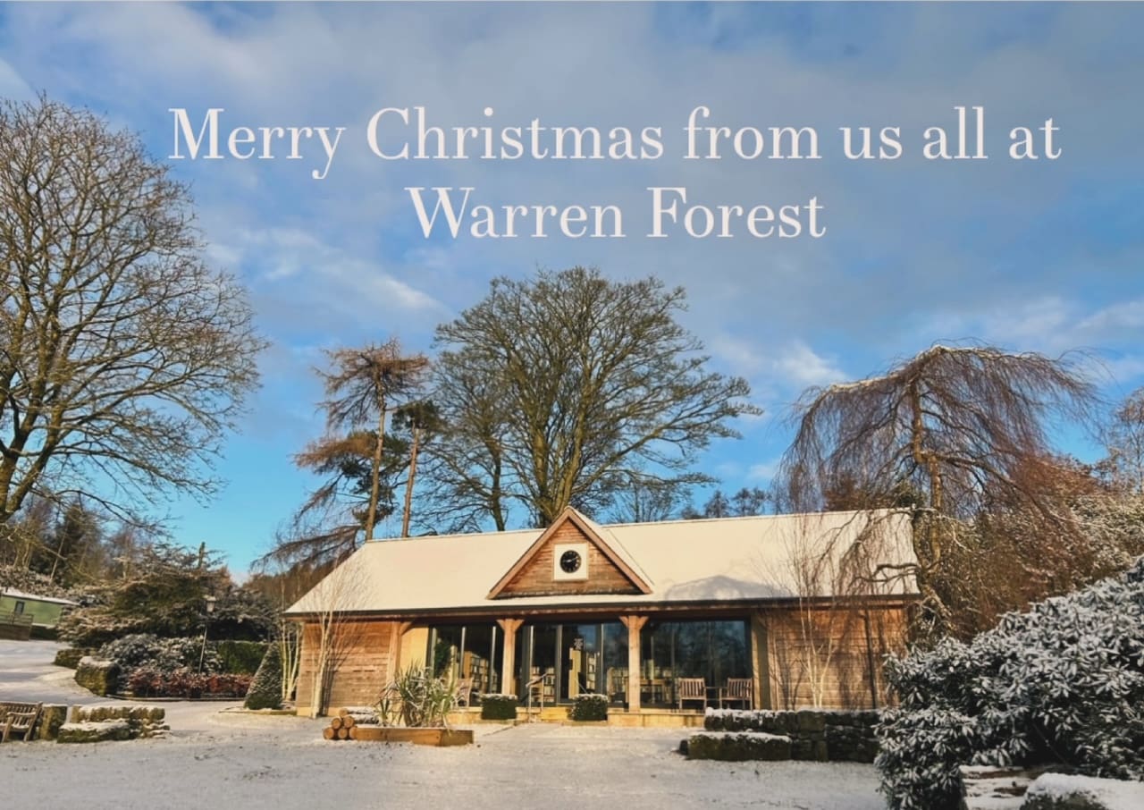Merry Christmas