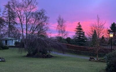 After the Snow & the Storm