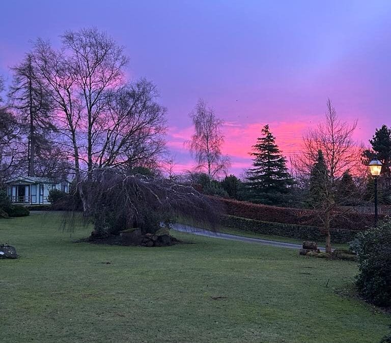 After the Snow & the Storm