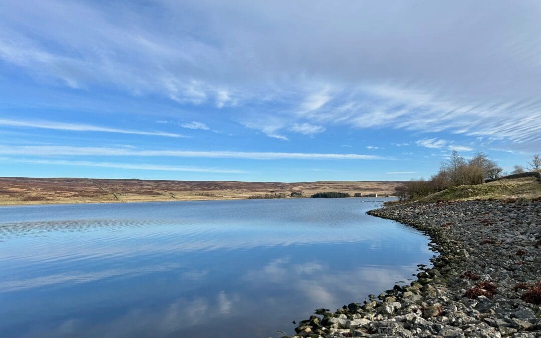 A Reservoir Walk