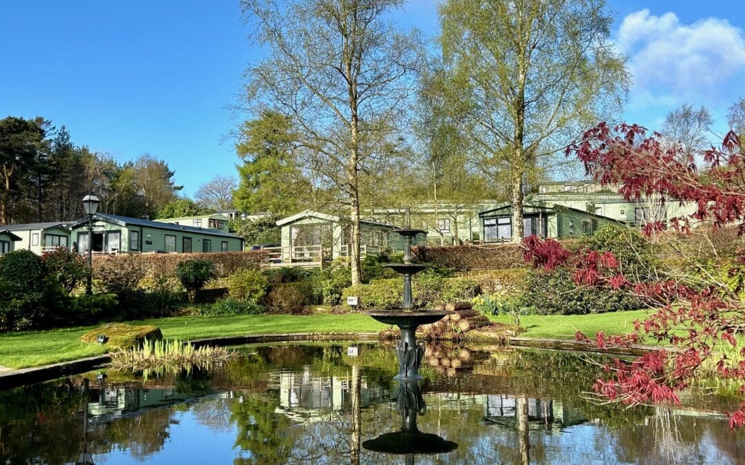 Easy Sunday Mornings